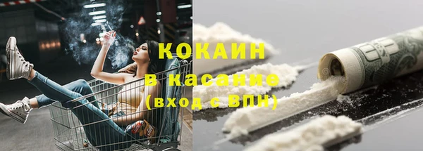 хмурый Арсеньев