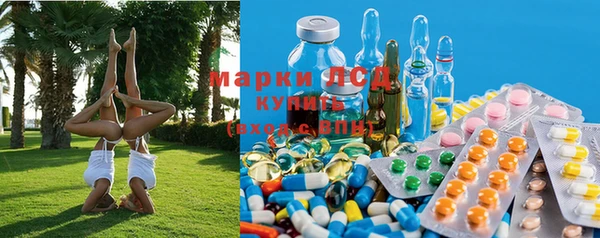 хмурый Арсеньев
