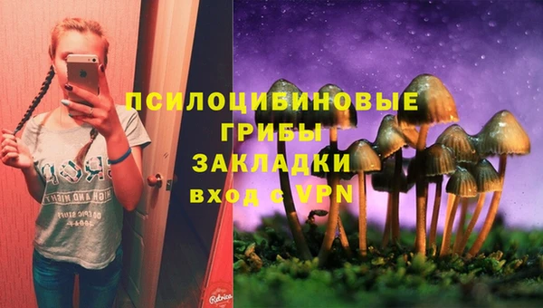 гашик Сосновоборск