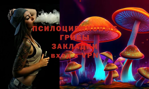 хмурый Арсеньев