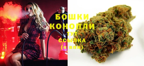 хмурый Арсеньев