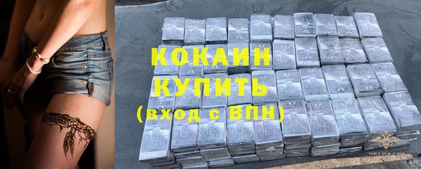 хмурый Арсеньев