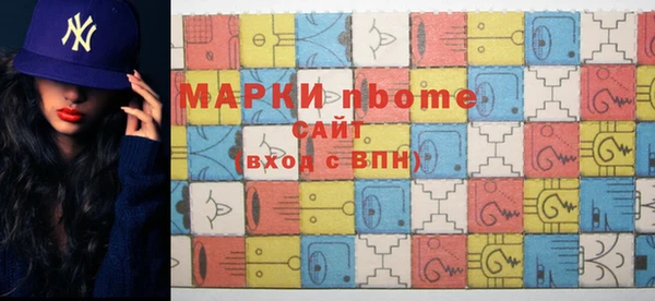 хмурый Арсеньев