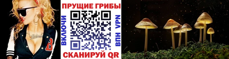 Галлюциногенные грибы прущие грибы  Крым 